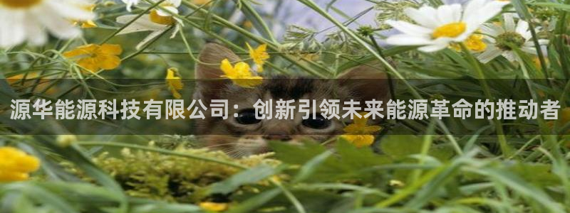 sunbet官网手机版登录