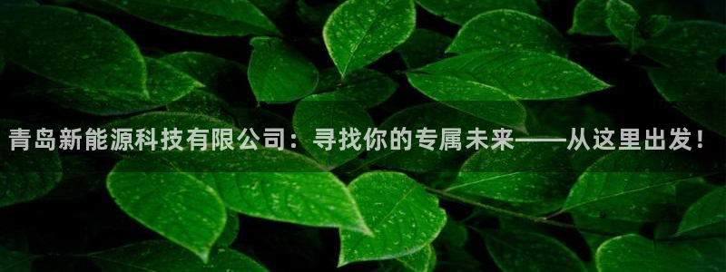 sunbet官网手机版登录