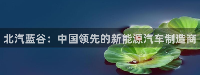 申慱sunbet手机版登