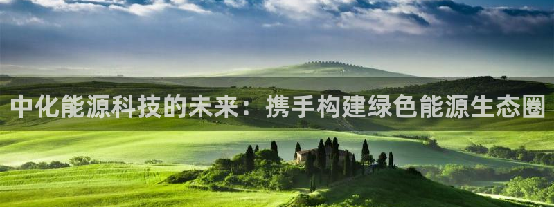 sunbet官网手机版