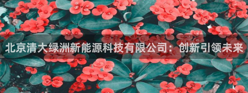 sunbet官网手机版