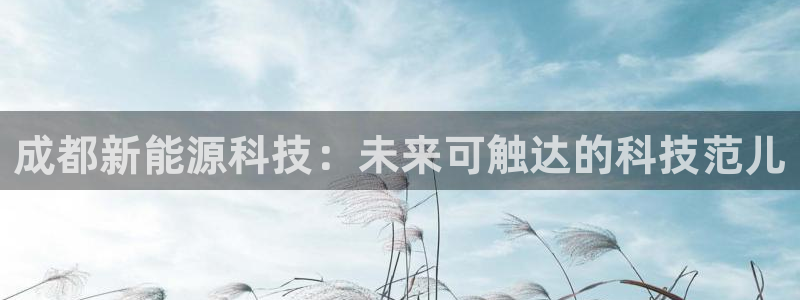 申博官网电脑版下载
