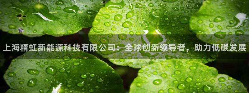 sunbet手机app版
