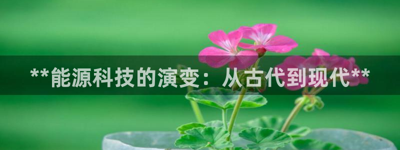 sunbet手机app版