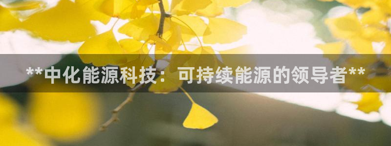 sunbet申搏app下载