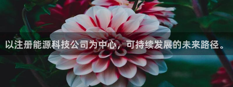 sunbet手机版登录