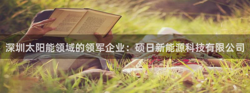 申博手机版官网