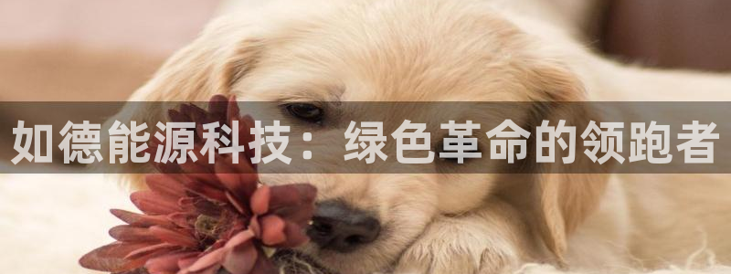 sunbet手机版登录