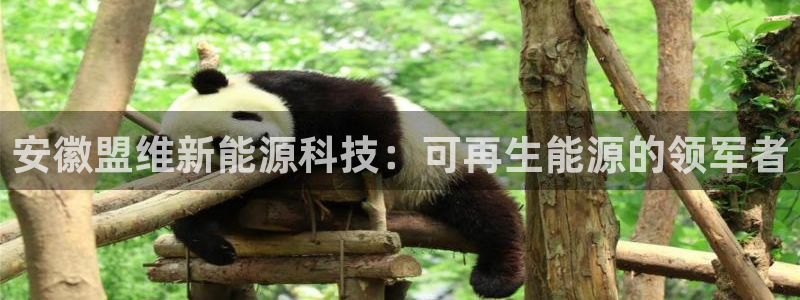 sunbet手机网页版本