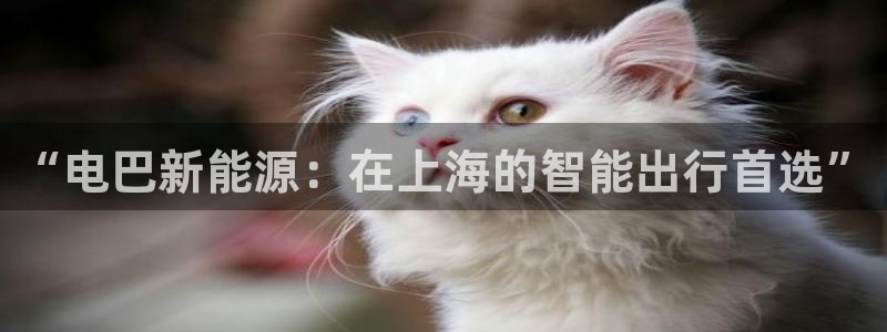 sunbet官网登录首页