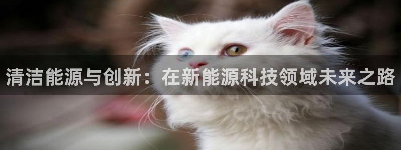 sunbet手机网页版本