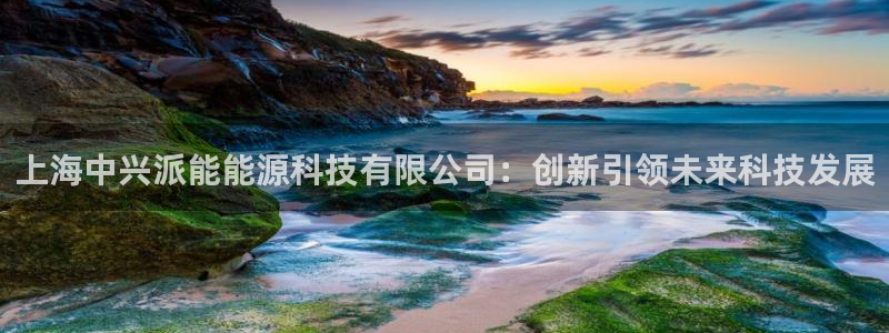 申博官方网站手机版下载