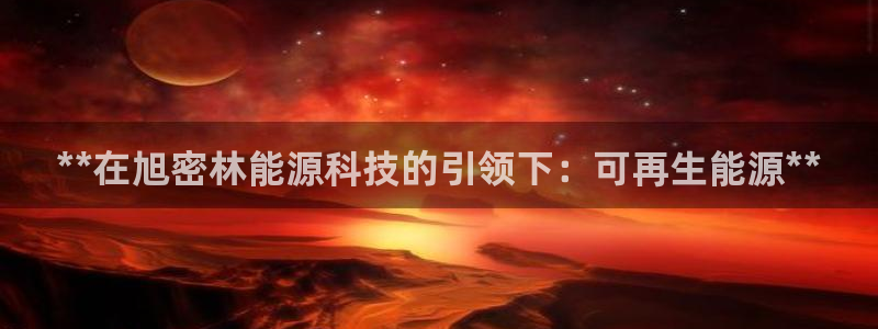 sunbet手机网页版本